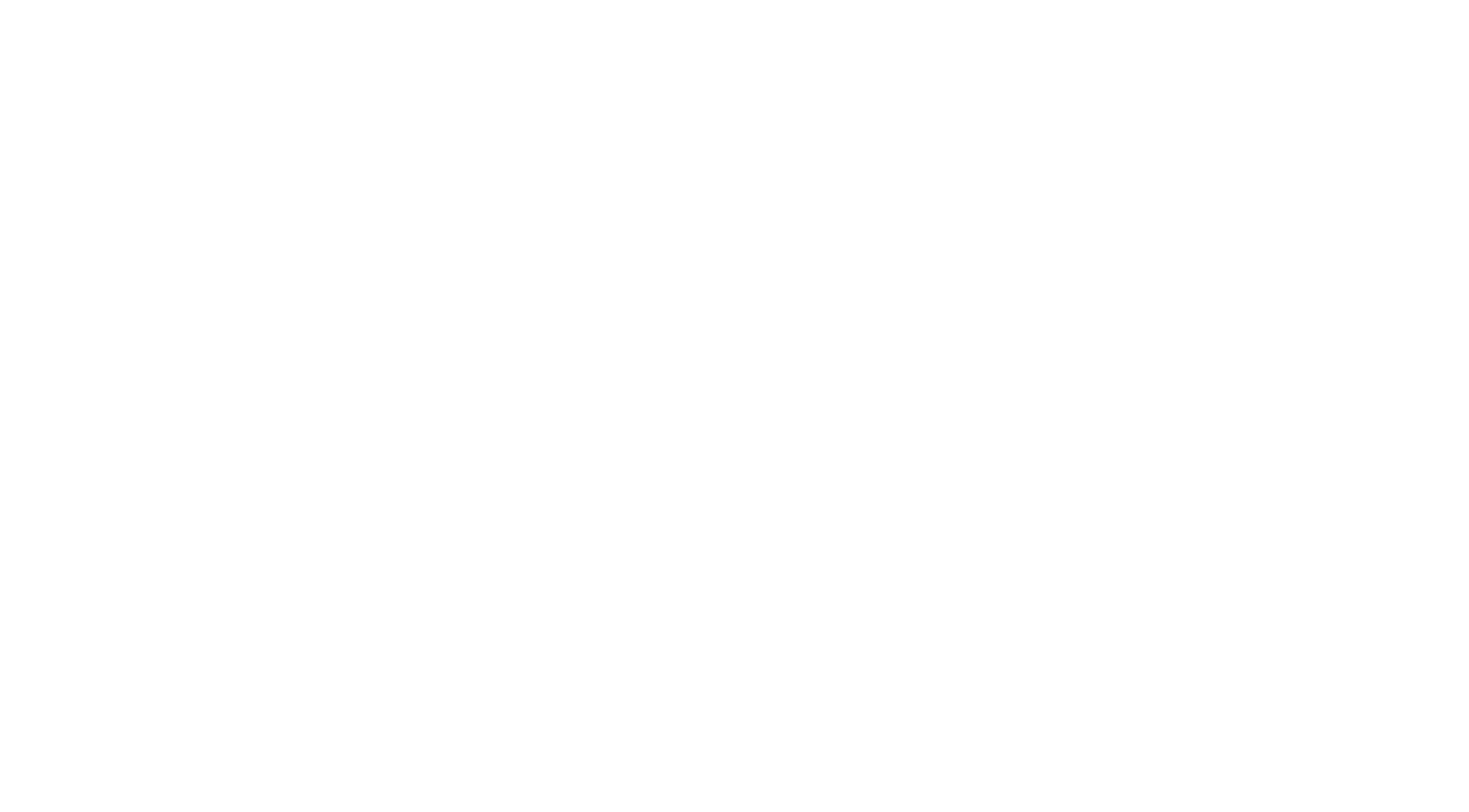 Professional Coaching